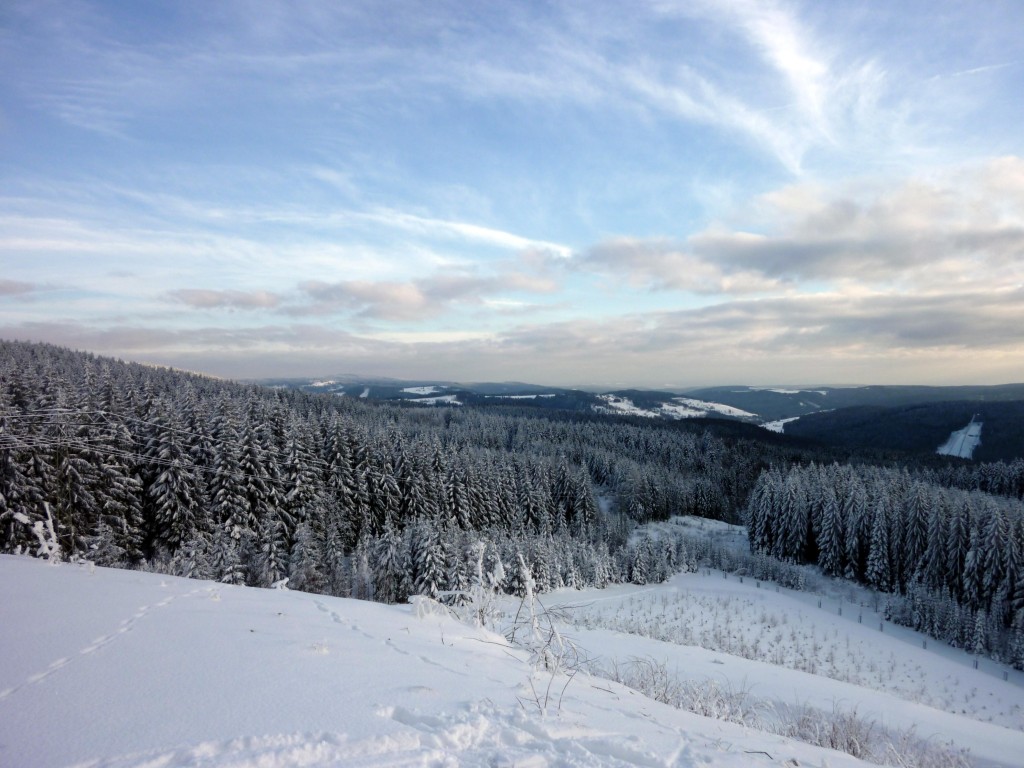 Ausblick Panoramablick Schneckenstein